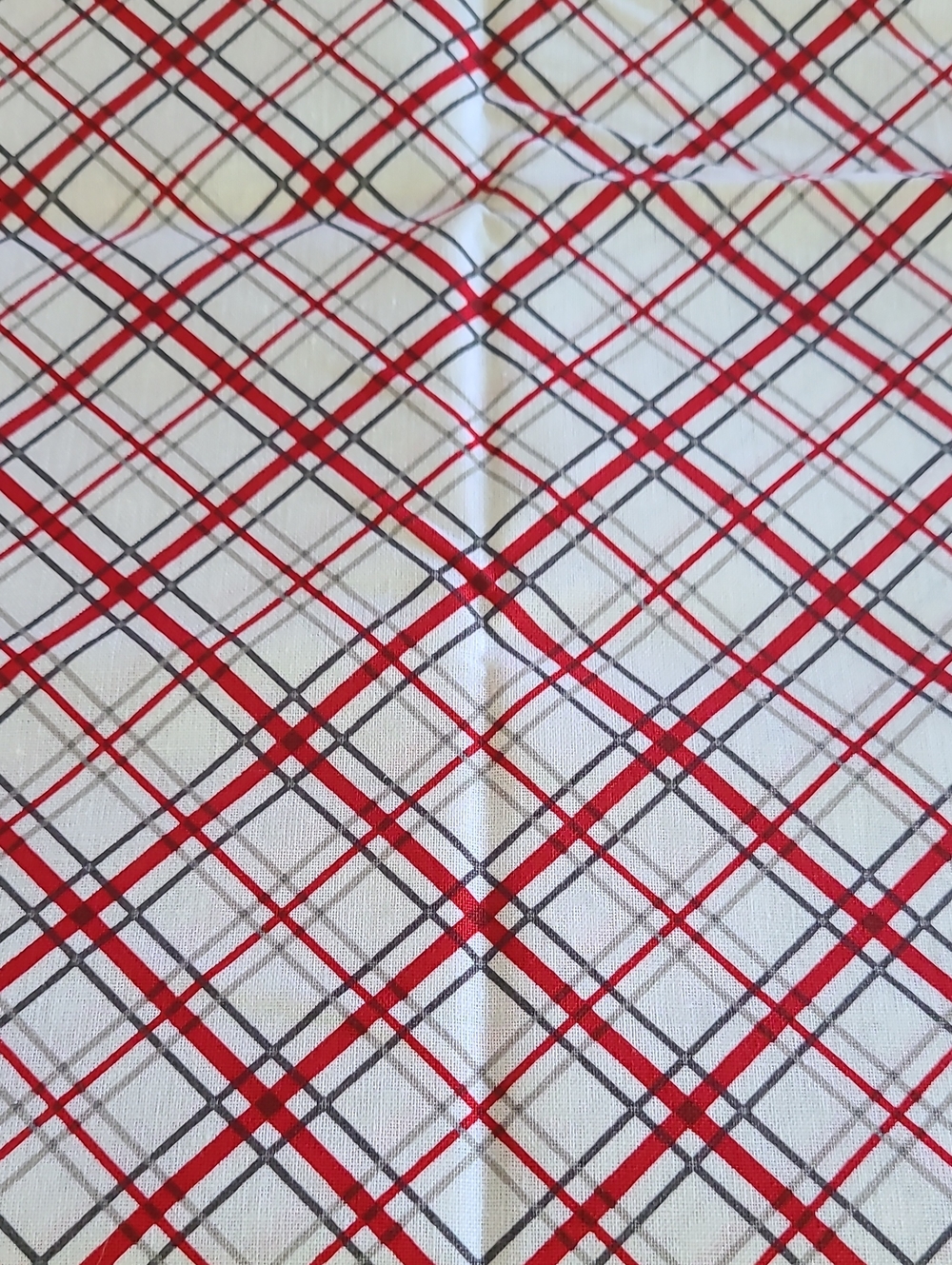 Plaid Red and Gray Fabric